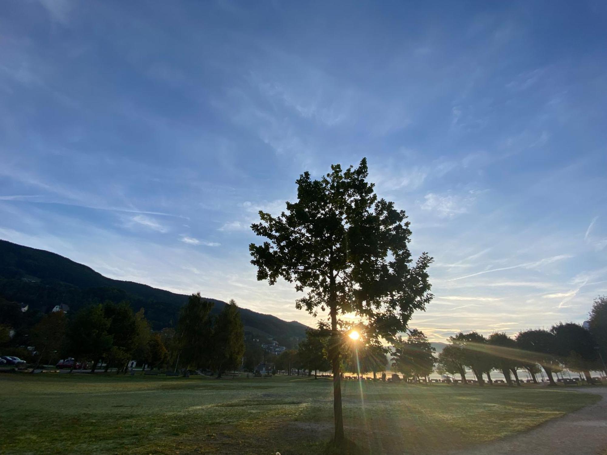 Klimesch Mondsee