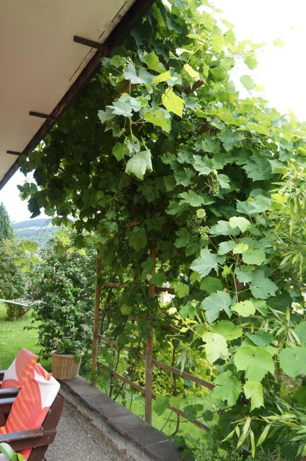 Bed & Breakfast Klimesch *